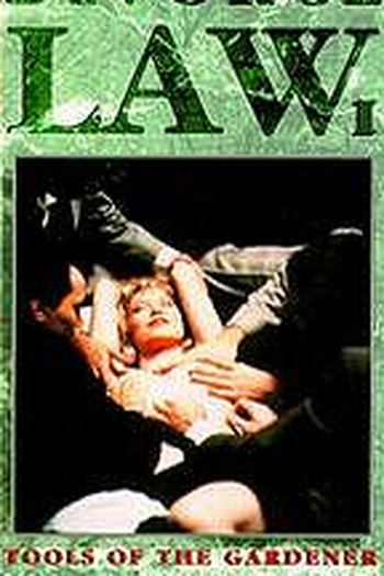 Poster de Filme Casos de Divórcio (1993)