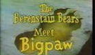 The Berenstain Bears Meet Big Paw (Part 1 of 4)