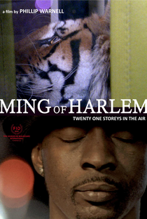 Ming of Harlem: Twenty One Storeys in the Air - Poster / Capa / Cartaz - Oficial 1