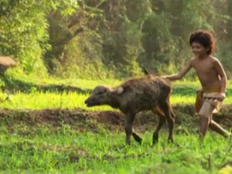 Foto 10 de Siri Parakum