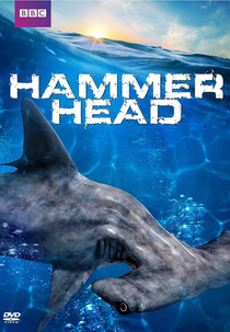 The BBC: Natural World - Hammerhead (The BBC: Natural World - Hammerhead)