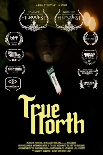Poster de Curta True North (2022)