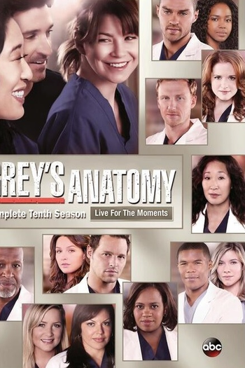  de Série A Anatomia de Grey (10ª Temporada) (2013)