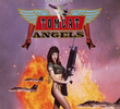 Tomcat Angels