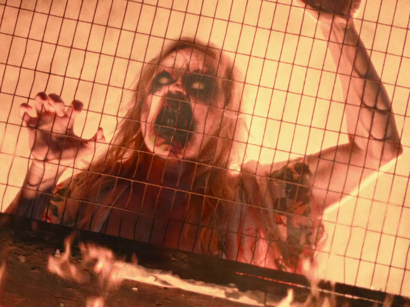 Foto 5 de Natty Knocks