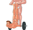 Ultimate Muscle Roller Legend
