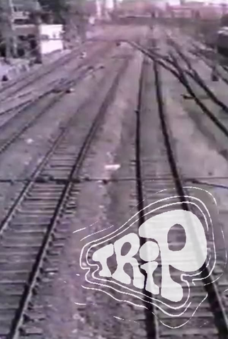 Poster 1 de Curta Trip (1970)