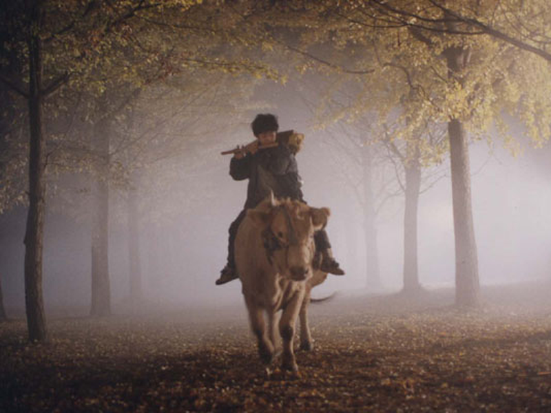 Foto 3 de Passage to Buddha