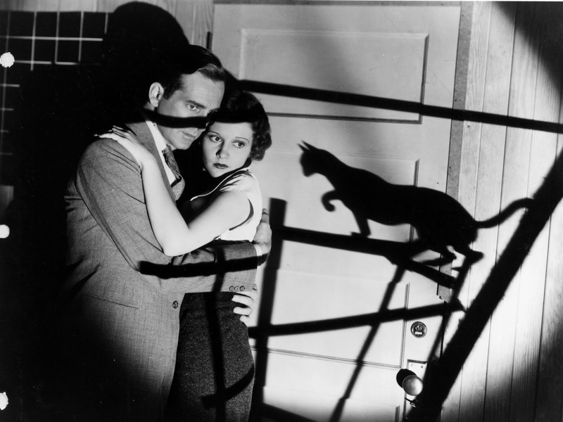 Foto 5 de O Gato Preto