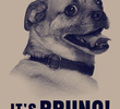 It's Bruno!