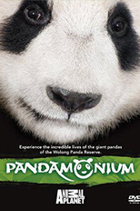 Pandamônio (Pandamonium)