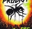 The Prodigy: Live - World's on Fire