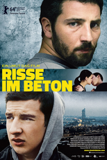 Rachaduras no Concreto (Risse im Beton)