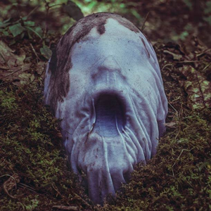 Foto de perfil de Ozeias