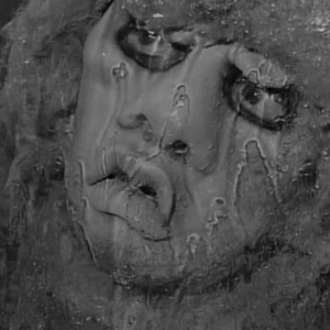 Foto de perfil de Pedro Henrique