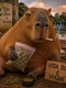 Capivara Drogada