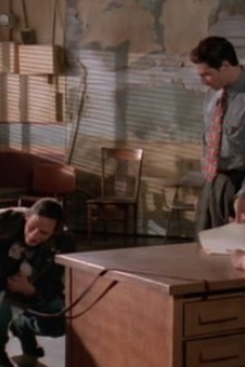Poster de Episódio Realpolitik (1994)