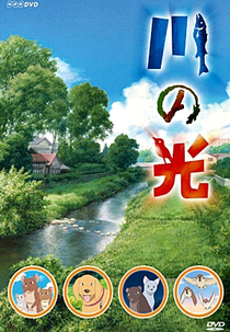 Rio Iluminado (川の光)