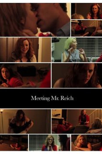 Poster de Curta Meeting Mr. Reich  (2014)