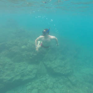 Foto de perfil de Rafael