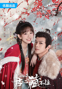 Governor's Secret Love (君心藏不住)