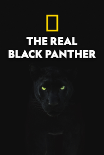 Pantera Negra: O Reino Selvagem - Poster / Capa / Cartaz - Oficial 2