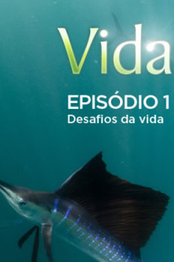 Poster de Filme Vida - Episódio 1: Desafios da Vida (2010)