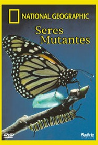 Poster 1 de Filme Seres Mutantes  (2000)