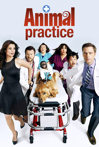 Poster 1 de Série Animal Practice (2012)