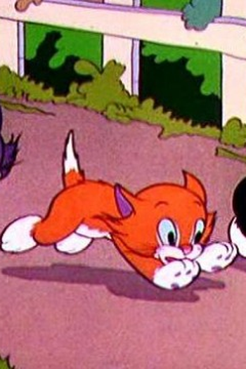 Poster de Episódio More Kittens (1936)