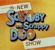 O Novo Show do Scooby-Doo e do Scooby-Loo (1ª Temporada)