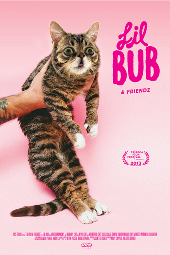  de Filme Lil Bub & Friendz (2013)