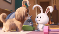Novo trailer de Pets: A Vida Secreta dos Bichos 2 com Daisy e Capitão Bola de Neve