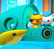 The Lost Lemon Shark