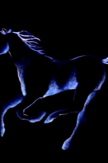 Poster de Curta Noturno (1986)