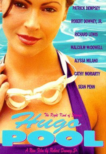 Um Dia Muito Louco (Hugo pool)