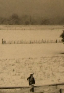 El Mito de Narciso (El Mito de Narciso)