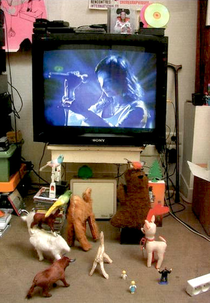 Björk Live In Cambridge (Björk Live In Cambridge)