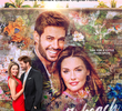 Amor em South Beach
