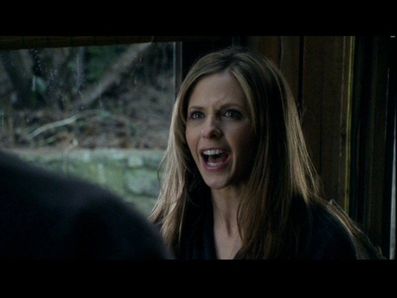 Foto 21 de Sombras de um Desejo