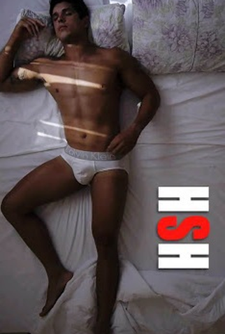 Poster 1 de Série HSH (2013)