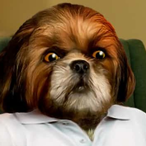 Foto de perfil de Lygia