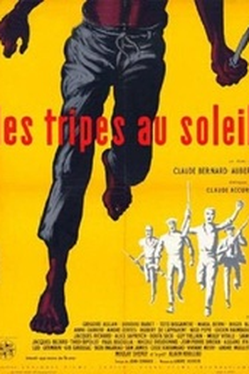 Poster de Filme Les tripes au soleil (1959)