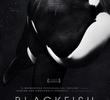 Blackfish: Fúria Animal