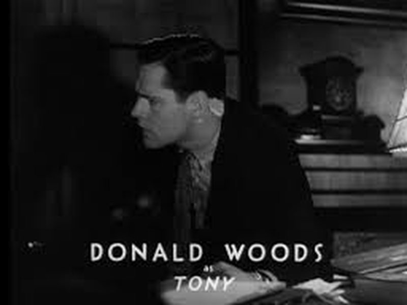 Foto 10 de Névoa do Mistério