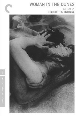 Poster 2 de Filme A Mulher da Areia (1964)