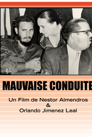 Poster 1 de Filme Conduta Imprópria (1984)