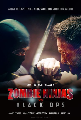 Poster 2 de Filme Zombie Ninjas vs Black Ops (2015)