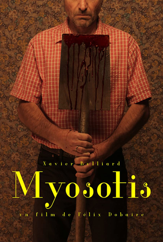 Poster 1 de Curta Myosotis (2021)