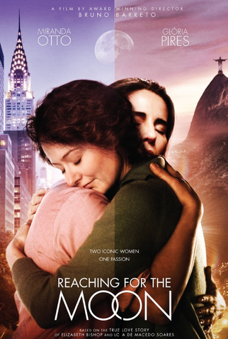 Poster 2 de Filme Flores Raras (2013)